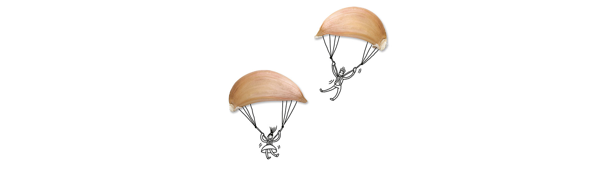 Fallschirme aus Knoblauchschalen